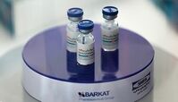 انتشار جدیدترین مقاله مستندات علمی واکسن برکت در یک نشریه بین‌المللی