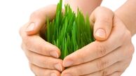 اصلاح دستورالعمل های بیمه ای قدیمی