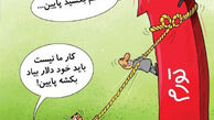 کاریکاتور باید دلار بکشه پایین!