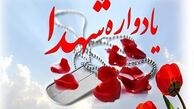 یادواره شهدای‌ نیروی هوایی ارتش در خراسان جنوبی برگزار شد
