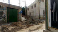 تپه ساسانی در خطر است