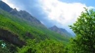 روز جهانی جنگل وارد تقویم‌ زندگی شد