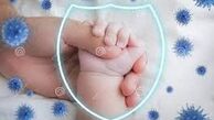 انتقال آنتی بادی از مادر به نوزاد با تزریق واکسن کرونا