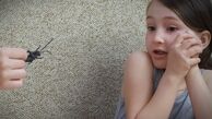از بین بردن سوسک های آپارتمانی برای همیشه