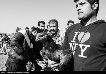 139311281149592894765924