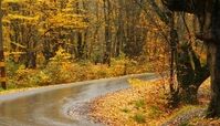 توصیه‌های سلامتی در آستانه تغییر فصل