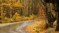 عکسهای زیبا از پاییز در جنگل گلستان
