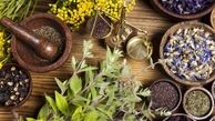 گیاهانی آرام بخش برای مقابله با استرس و اضطراب