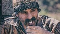 گریم‌متفاوت پیمان‌معادی در درخت گردو + عکس