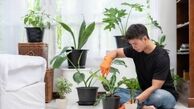 تکنیک های ساده برای پاکسازی هوای خانه