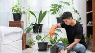 تکنیک های ساده برای پاکسازی هوای خانه