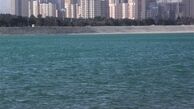 مدل بالگرد سقوط کرده در دریاچه چیتگر اعلام شد