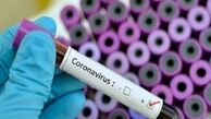آیا الکل برای ضد عفونی دست ها موثر است؟
