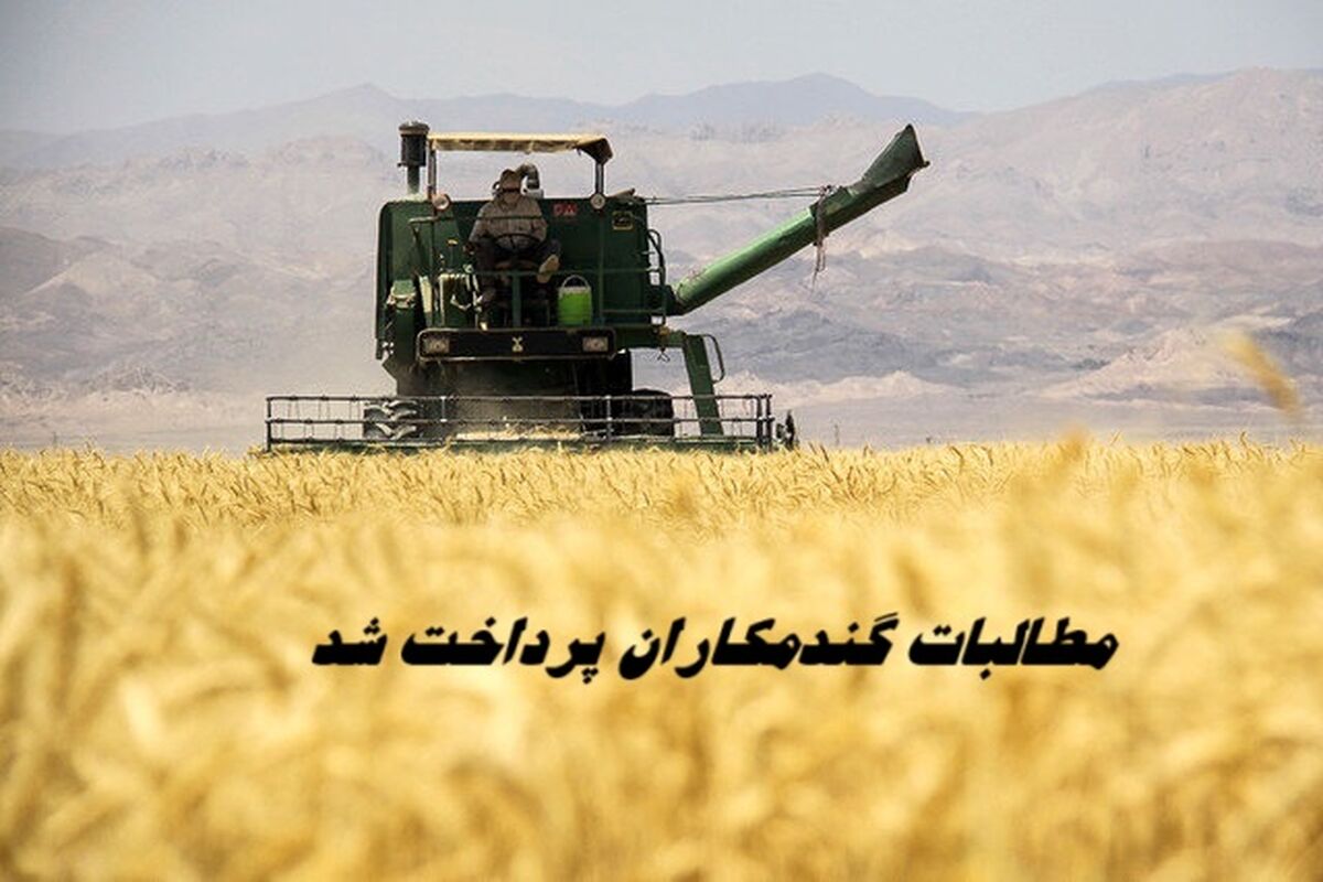 ۹۰ درصد مطالبات گندمکاران پرداخت شد