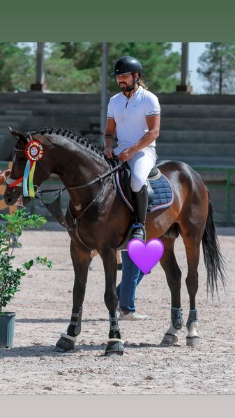 اسب حرفه ای خواننده مشهور + عکس