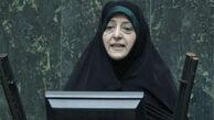تنظیم لایحه «هوای پاک» بر اساس سیاست‌های کلی نظام 