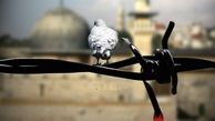 در میان این همه هیاهو؛ چرا فلسطین نباید فراموش شود؟