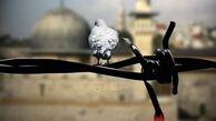 در میان این همه هیاهو؛ چرا فلسطین نباید فراموش شود؟