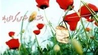 دوبیتی‌هایی برای روز اندیمشک