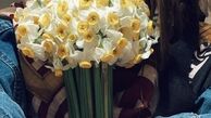 عکس نرگسی الناز حبیبی