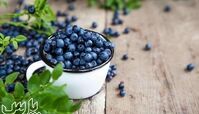 بلوبری چیست و چه خواصی دارد ؟ خواص بلوبری برای زیبایی