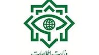 واکنش وزارت اطلاعات درباره خودکشی «مهدیس میرقوامی»