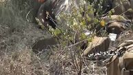 ۶ نظامی سعودی دیگر به دست یمنی ها از پای درآمدند