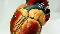 قلب، مغز و کبد نو نمی خواهید؟