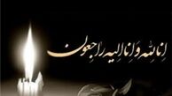 آیت الله شیخ محمد یزدی درگذشت

