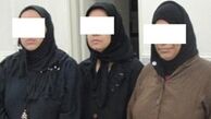 زن کارتن خواب سر دسته دزدان پایتخت 