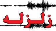 بوشهر 6 بار لرزید 