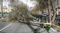 هشدار هواشناسی به نیمه شرقی کشور