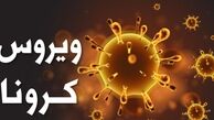 بیمار تا چه مدت پس از بهبودی ناقل ویروس کرونا است؟