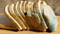جلوگیری از کپک زدن نان با چند ترفند ساده ؛ طرز تهیه نان ساده در خانه