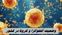 وضعیت آنفلوآنزا و کرونا در کشور