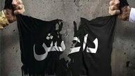 11 مبلغ داعش دستگیر شدند