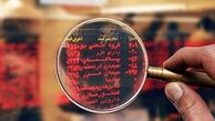 رشد ۲ هزار واحدی شاخص بورس در ۲۶ اردیبهشت ماه
