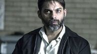 پیمان معادی داور جشنواره شد!