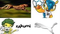 یوزپلنگ ایرانی به جام‌جهانی می‌رود