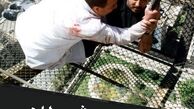 جوانی های آقای بازیگر در رقص شیطان + عکس
