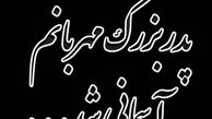 خواننده مشهور عزادار شد + عکس