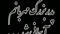 خواننده مشهور عزادار شد + عکس