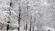 5 روز بارش برف و باران در 14 استان کشور
