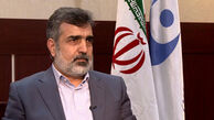 اظهارات سخنگوی سازمان انرژی اتمی درباره پیشران‌ها 