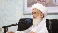 آیت‌الله نوری‌همدانی: هیچ اشرافی بر قیمت‌ها نیست