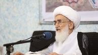 آیت‌الله نوری‌همدانی: هیچ اشرافی بر قیمت‌ها نیست