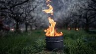 راهکار کشاورزان سوئیسی برای مقابله با سرما+ عکس