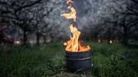 راهکار کشاورزان سوئیسی برای مقابله با سرما+ عکس