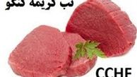 آمار رسمی مبتلایان به تب کریمه