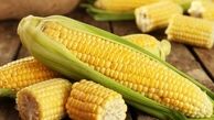 میزان آهن موجود در ذرت بو داده